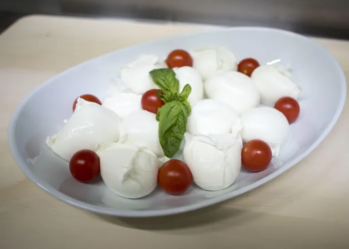 فندق Classensis رافيننا