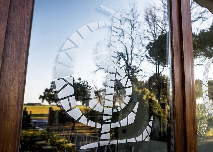 Classensis رافيننا